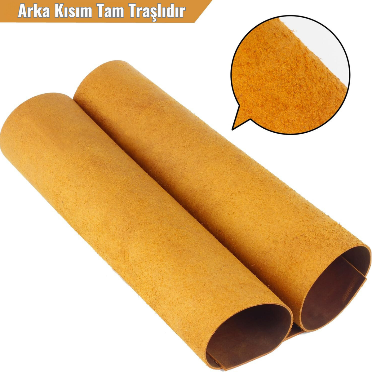 Crazy Camel Panel Kesim