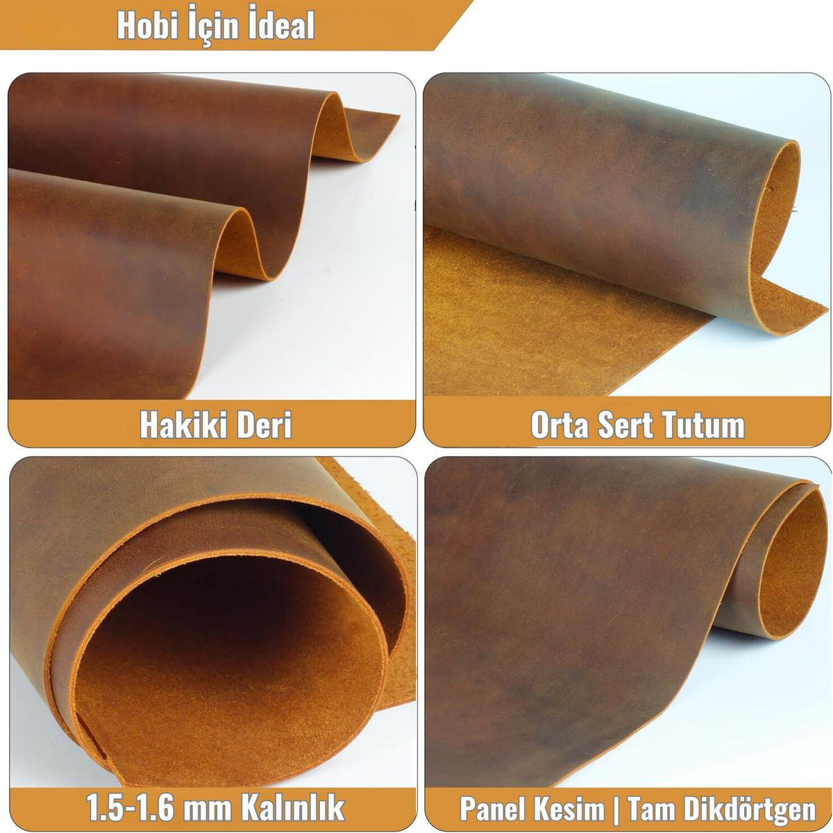 Crazy Camel Panel Kesim